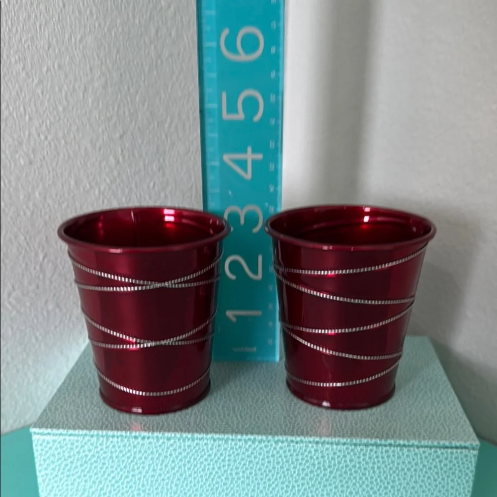 6 Mini Holiday Plant Pot